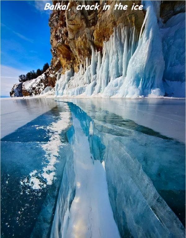90個神奇照片，剛出生的小刺蝟，大白鯊的驚人尺寸，水上麻將桌椅