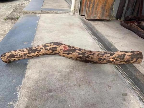 這根普普通通的木頭，竟然價值破萬？這就是紫檀啊