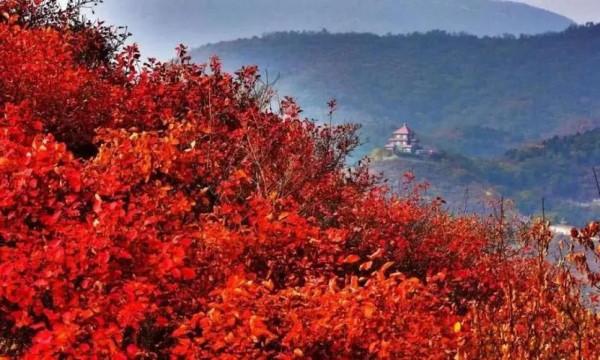 中國旅遊地圖攬勝&mdash;北京海淀
