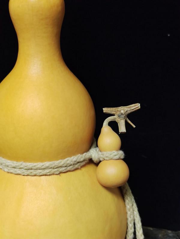 酒葫蘆作品賞析～粗腰大翻嘴