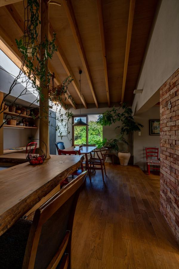 中庭造就自然之家