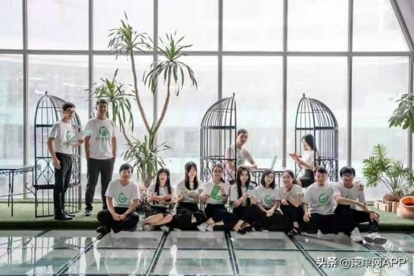 “佛系”的柬埔寨招聘市場：在沙丁魚裡放一條鯰魚