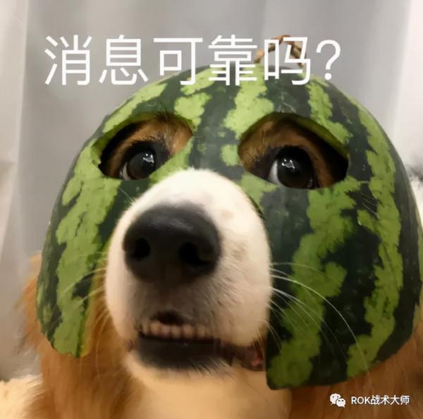 萬國覺醒丨威廉一世裝備推薦