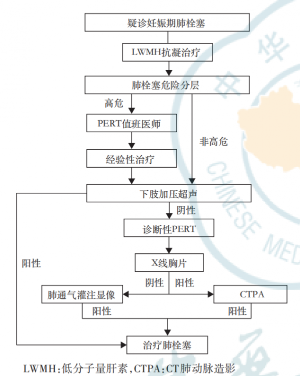 急性肺栓塞如何救治？中國多學科專家共識釋出