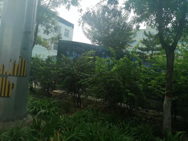 慘劇發生在凌晨 慘劇發生在凌晨