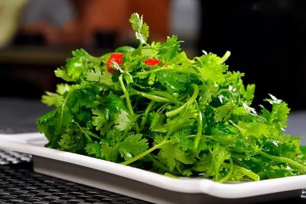 香菜讓人一看就討厭？這6大功效，其他蔬菜可做不到