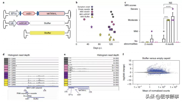 AAV遞送的RNAi療法在非人靈長類腦中導致神經毒性 AAV遞送的RNAi療法在非人靈長類腦中導致神經毒性