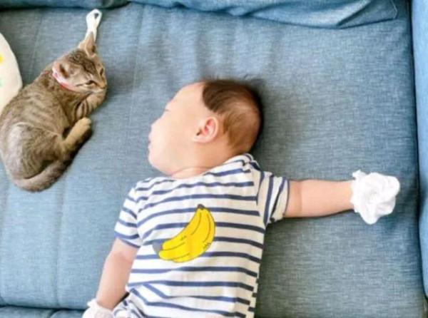 小奶貓每天看守人類幼崽,寵姐行為令爸媽崩潰:你自己也是個寶寶 小奶貓每天看守人類幼崽,寵姐行為令爸媽崩潰:你自己也是個寶寶