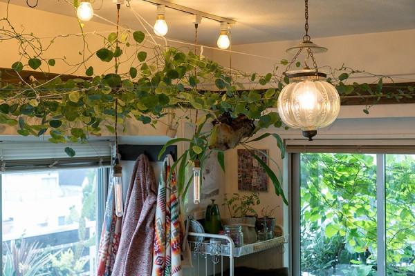 羨慕這對日本老夫妻,翻新30年老宅退休住,全屋不豪裝卻很有氣質 羨慕這對日本老夫妻,翻新30年老宅退休住,全屋不豪裝卻很有氣質