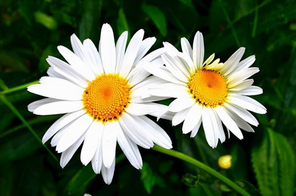 懂得這樣為人處世的人，才是能辦大事的，日後會更容易成功