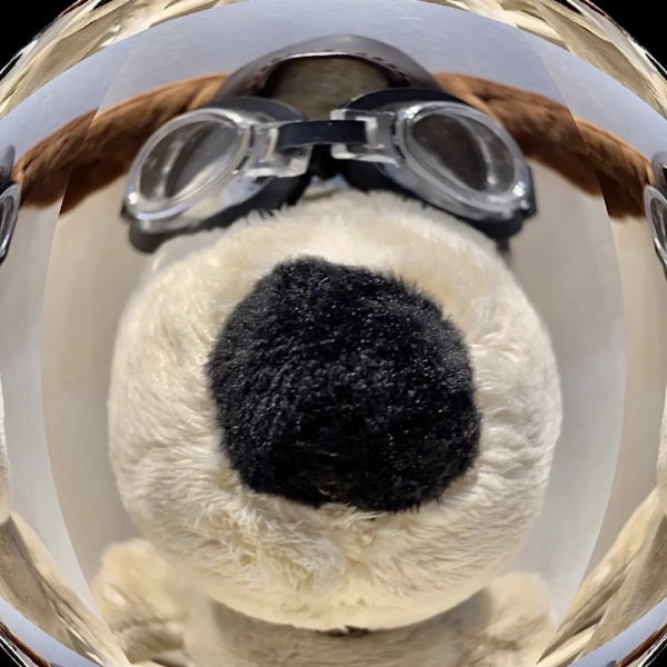 情侶頭像 l 和你的cp掛組情頭吧