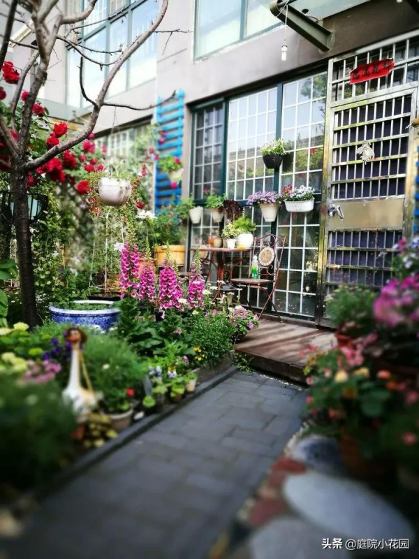 這樣的小院就是我夢想中的花園