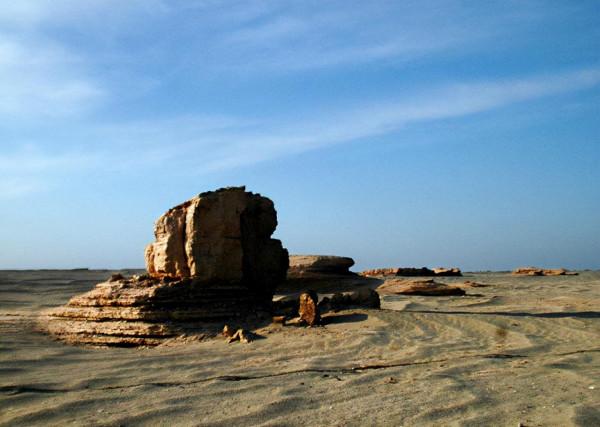 你想要來的新疆2022年是這樣的