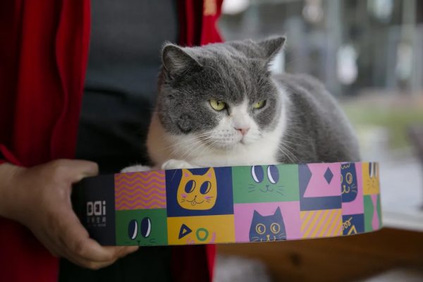 朵公主的可愛暴擊，你準備好了嗎