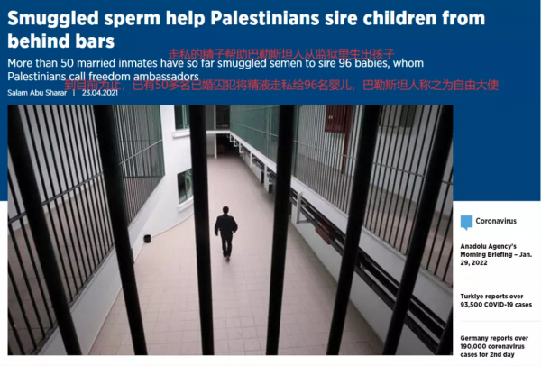 蹲了15年大牢，妻子為他在獄外生了4個孩子