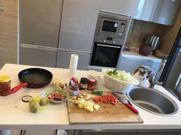 建議大家：被網紅吹捧的9件家居用品，件件雞肋，全是智商稅