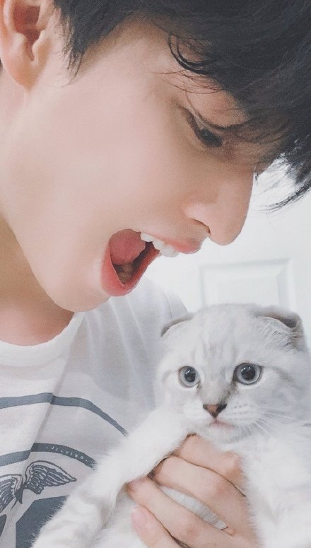 人間天使糕卡娜:熱愛足球 名校畢業 簽約三臺 未來可期 人間天使糕卡娜:熱愛足球 名校畢業 簽約三臺 未來可期