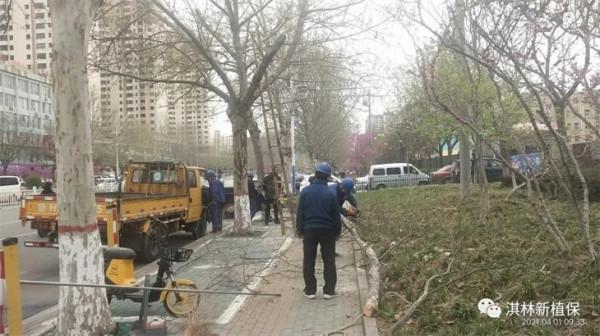 秋冬季節“大掃除”，清病原，滅蟲患