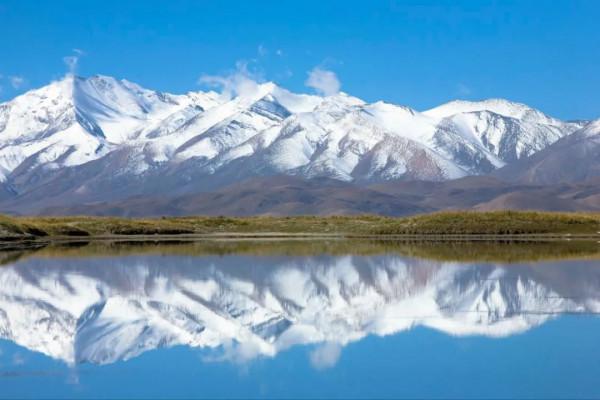 她這樣的作家，真的不多了