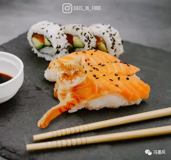 這樣的貓片，真下飯