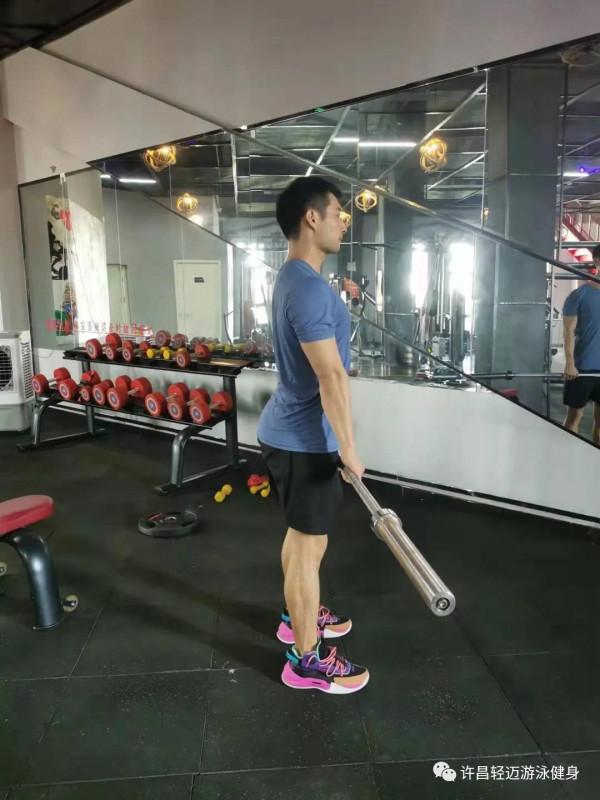 背部的訓練動作有哪些?該怎麼做 背部的訓練動作有哪些?該怎麼做