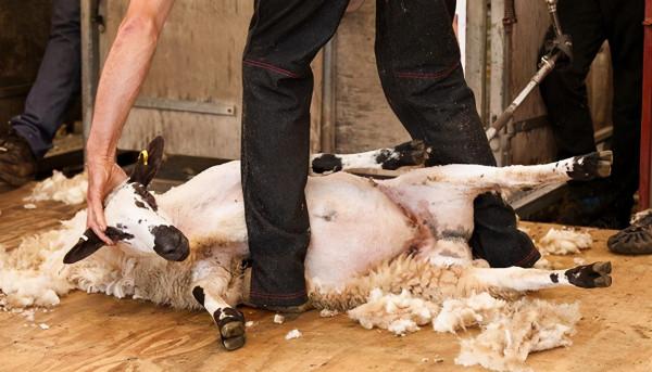 人民幣與美元的恩怨情仇