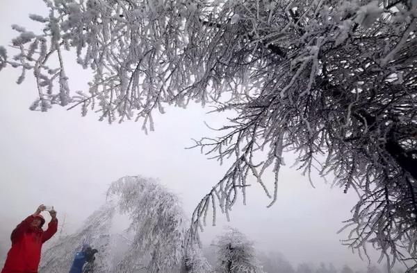 新疆霧凇,這才是完美冬天的開啟方式,真正的冰雪王國... 新疆霧凇,這才是完美冬天的開啟方式,真正的冰雪王國...