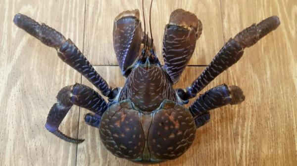 10年深度+豪華遊玩60國