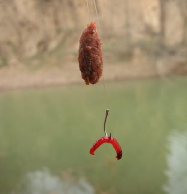 我為啥釣不過他？不是技術、窩餌的問題，答案在於他的三個做法