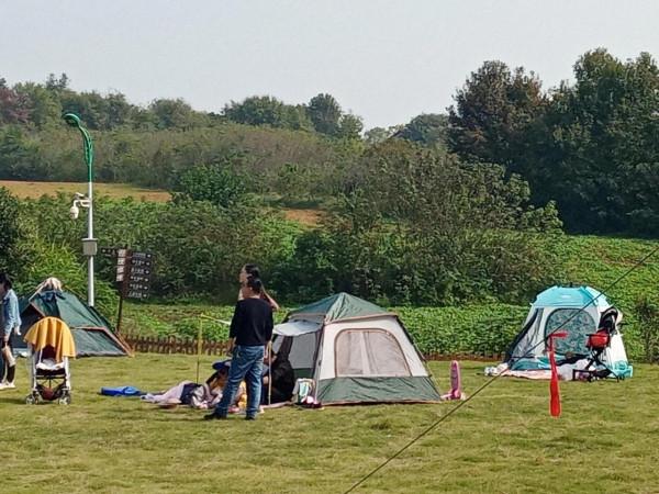 我們來到了鹿島上 我們來到了鹿島上
