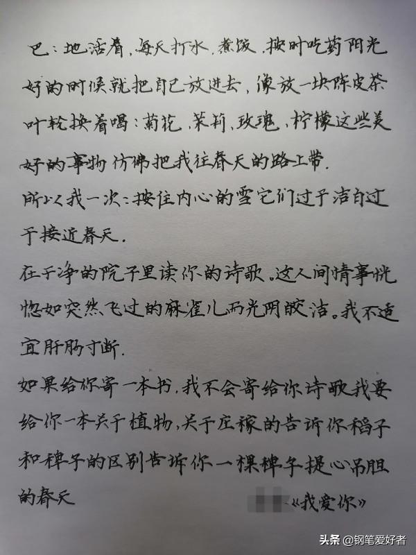 Evan Li點評餘秀華詩詞《我愛你》鋼筆字練字打卡作業欣賞