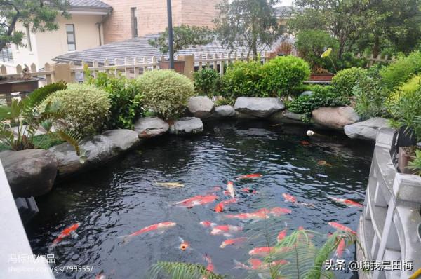 必勝的丘吉爾 必勝的丘吉爾