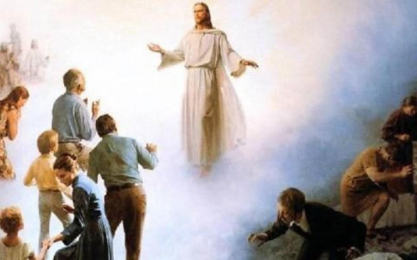 生物進化普遍選擇的是衰老，而不是永生，這究竟是為什麼？