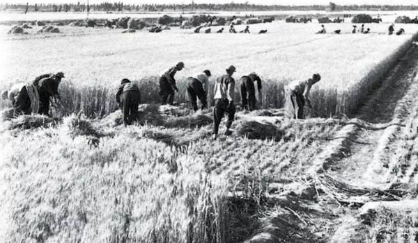 60年代，那名寧願放棄上北大也要回鄉務農的董加耕，如今怎樣了？