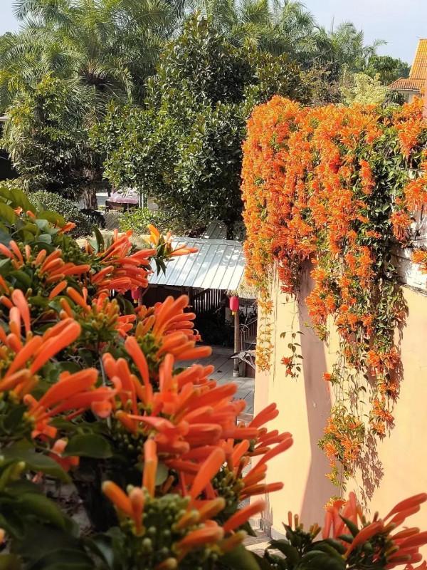 沒有冬天的地方