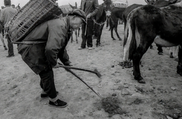 1958年，湖南一撿糞老漢，因一封信暴露身份，領導：他是開國將軍