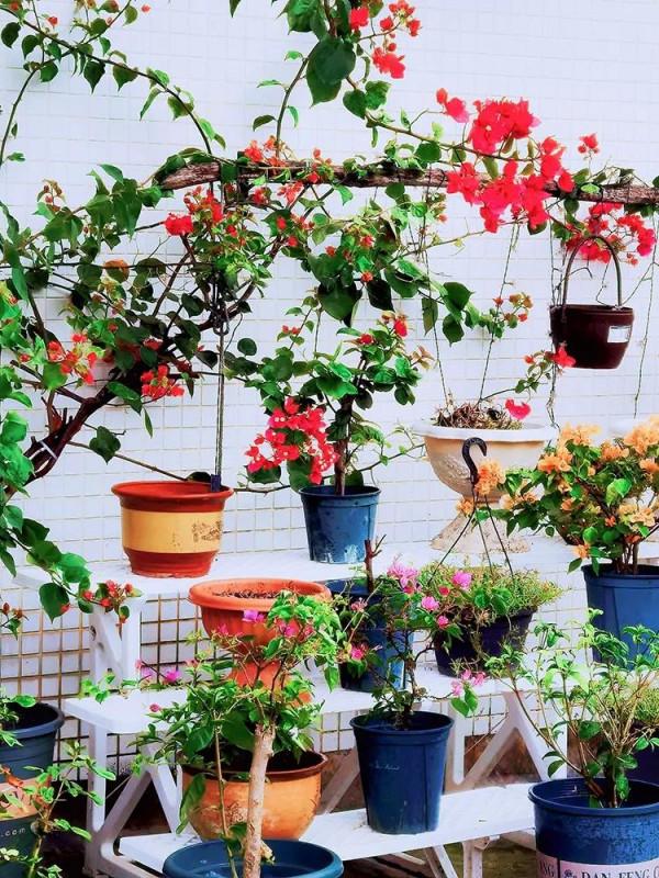 打造這樣的花園需要多少錢？