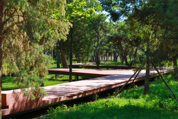 多圖劇透！龍潭中湖公園計劃“十一”前對外免費開放