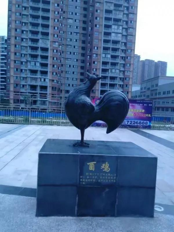 十二生肖一道亮點