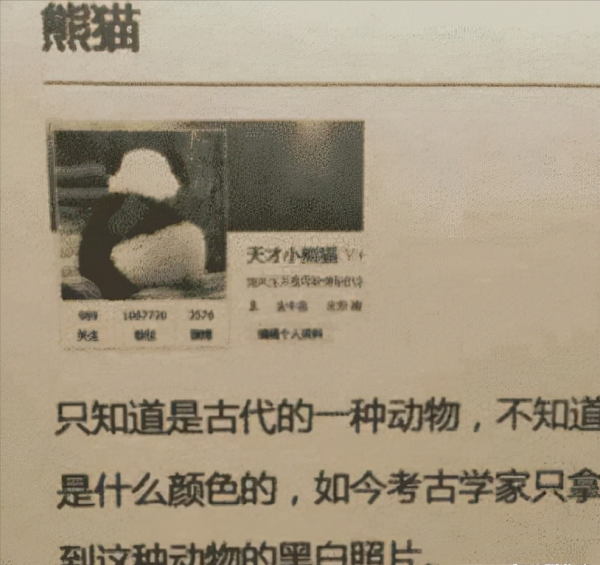 一千年後的語文課本長什麼樣？網友想象出來的樣子清奇又超有梗