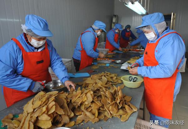 加工在鎮（鄉）、基地在村、增收在戶：繁榮農產品加工