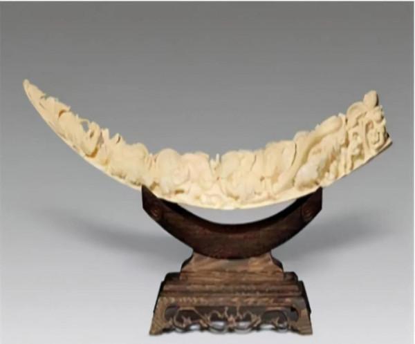 四川金沙挖出千根象牙,剛挖到一半,專家卻大喊:埋回去,趕緊撤 四川金沙挖出千根象牙,剛挖到一半,專家卻大喊:埋回去,趕緊撤