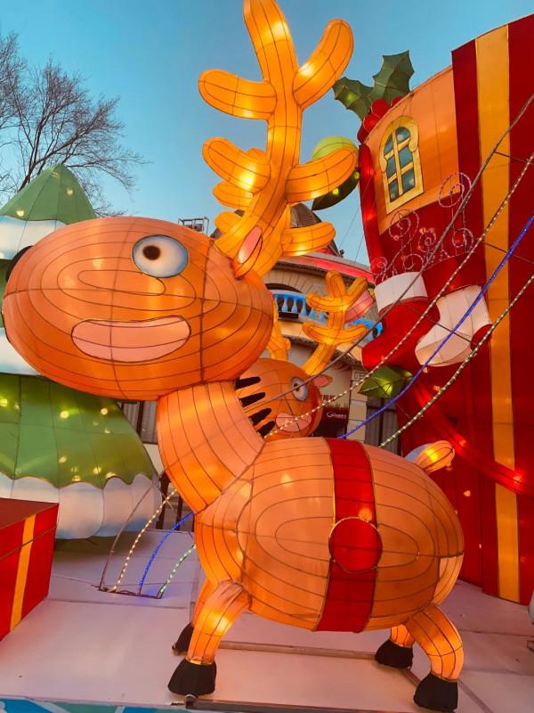 元旦去哪玩？賞花燈、看錶演、戲冰雪……