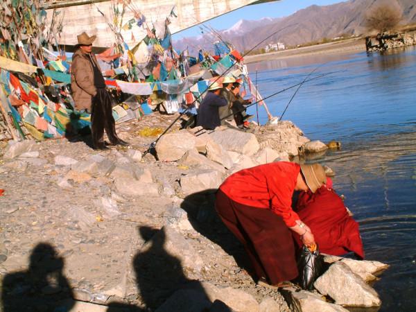 西藏羊卓雍措裡的魚，多達8億公斤，為啥無人敢吃？