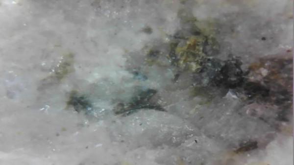 展示一塊月球玄武岩隕石