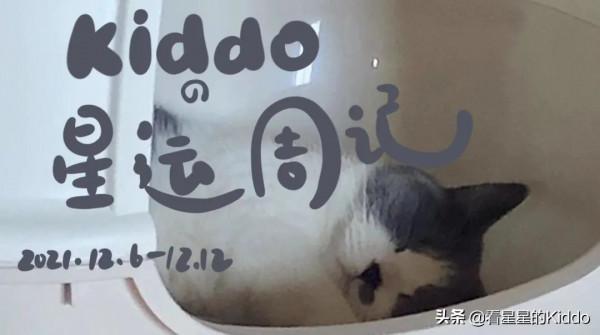 Kiddoの星運週記丨2021.12.6~12.12