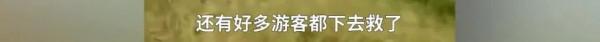 泰山緊急通知！網友：壓力“泰”大