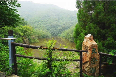 “文化碑林 綠色生態”——首都綠色文化碑林建設歷程回顧 “文化碑林 綠色生態”——首都綠色文化碑林建設歷程回顧