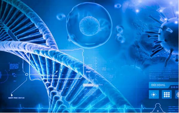 服用西地那非之前，有哪些注意事項？