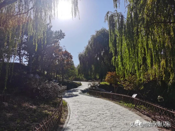 賞紅何必去郊區!北京西五環邊上的這座公園,紅葉正好 賞紅何必去郊區!北京西五環邊上的這座公園,紅葉正好